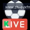 爱游戏APP logo
