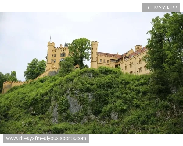 黑白军团与南大王：德国足球哲学的双重镜像与传承之路